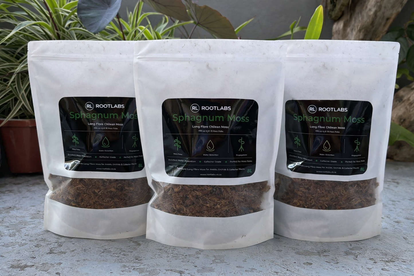 ROOTLABS Sphagnum Moss Bundle (3 x 5L) – Ready to Use